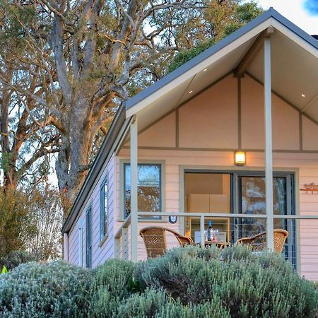 Grace Cottages Uralla Exterior photo